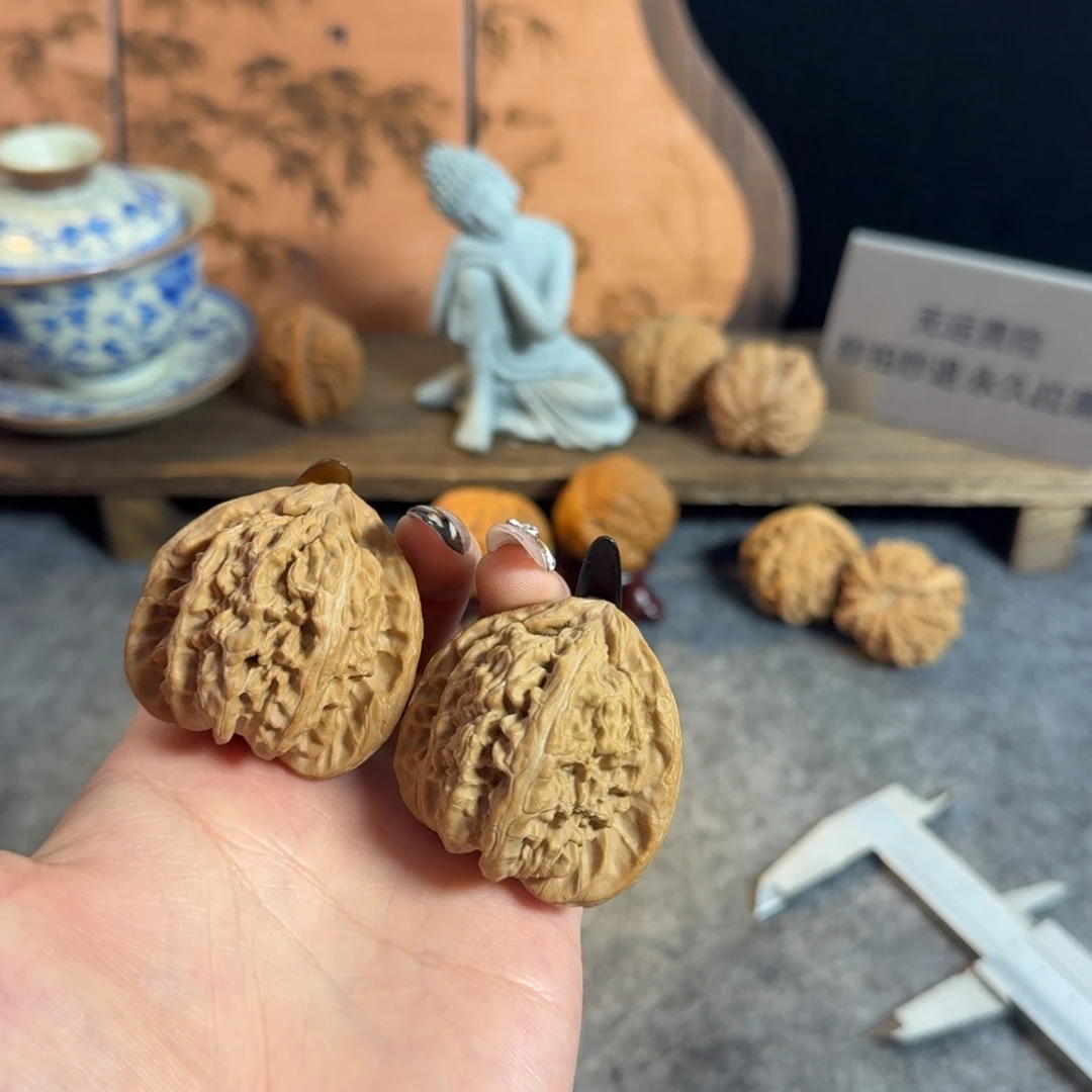 全品42.5老树不打药白狮子