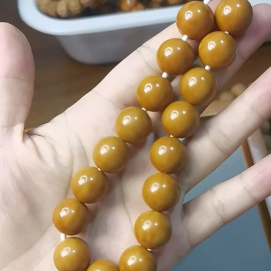 龙脊菩提手串猴头光珠单圈全品