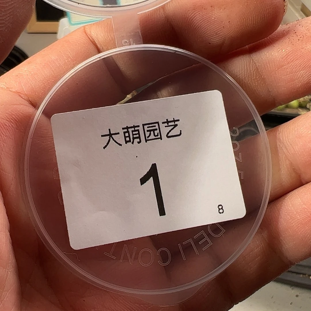 是**吖00001 一物一拍……