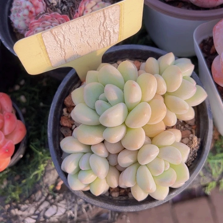 健健康康平平安安