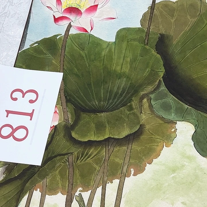 横款新人直播，放大漏