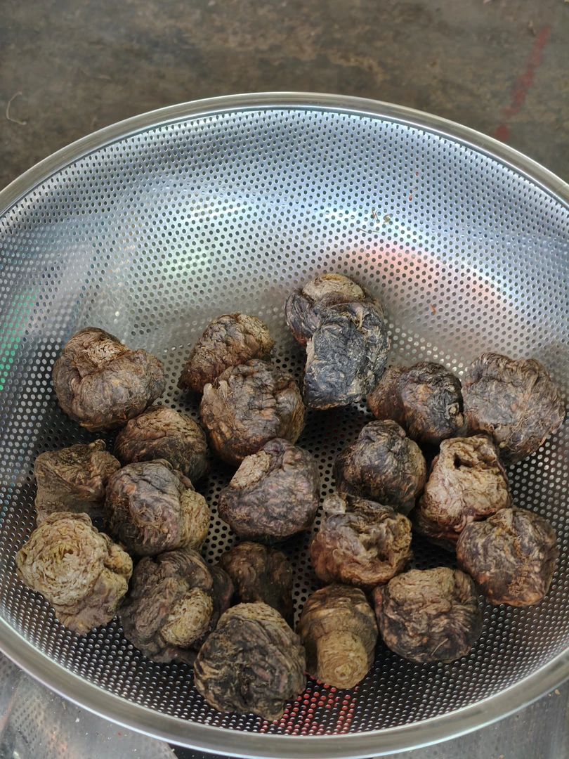 云南高原 黑吗卡大炎甄选