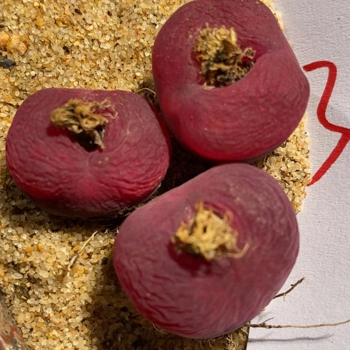 30102一组一组一组