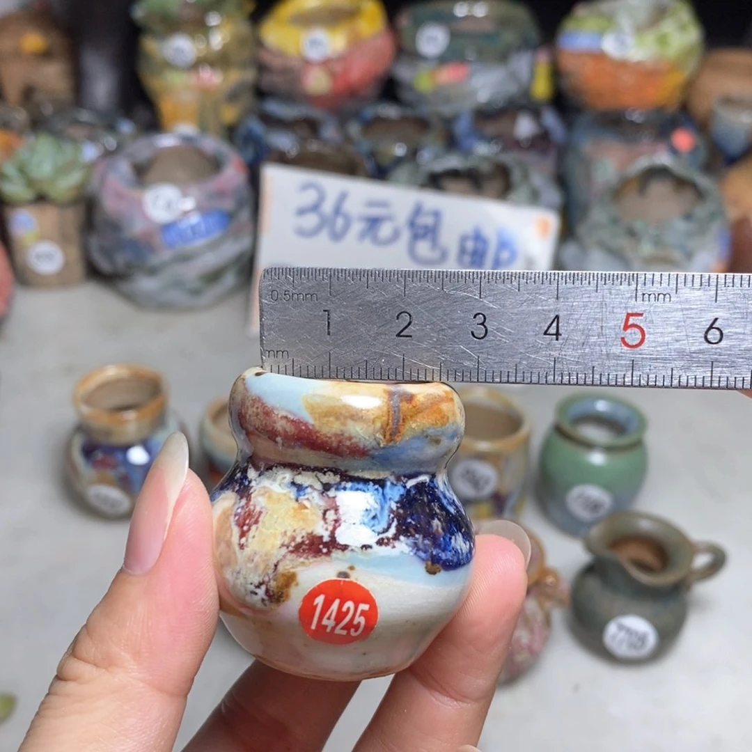 拍5送一个小礼物