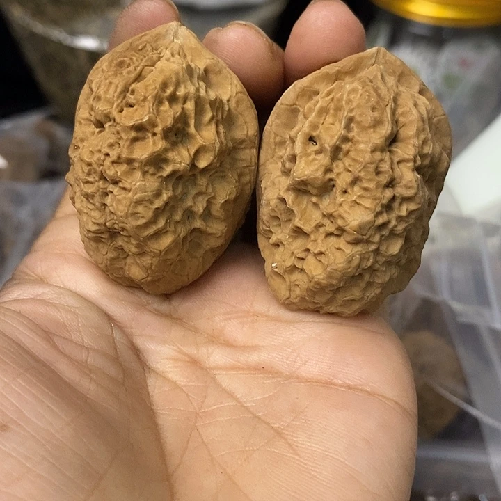 核桃云南铁核桃基地41