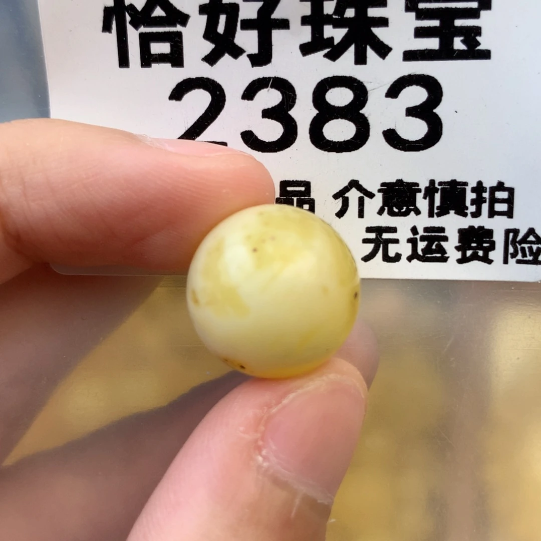 未镶嵌琥珀珠宝奇石15.6