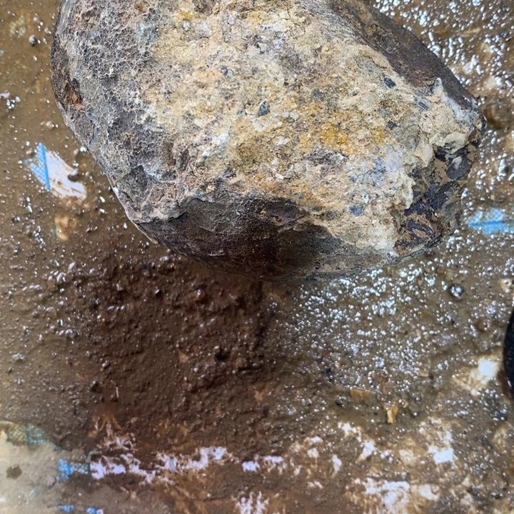 未镶嵌玛瑙/玉髓珠宝奇石龙*子定制玛瑙