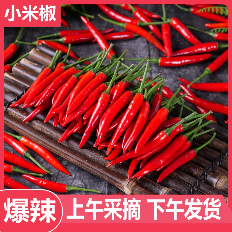 新鲜现摘特辣小米椒可用于餐饮调味的蔬菜辣椒朝天椒海椒泡椒剁椒