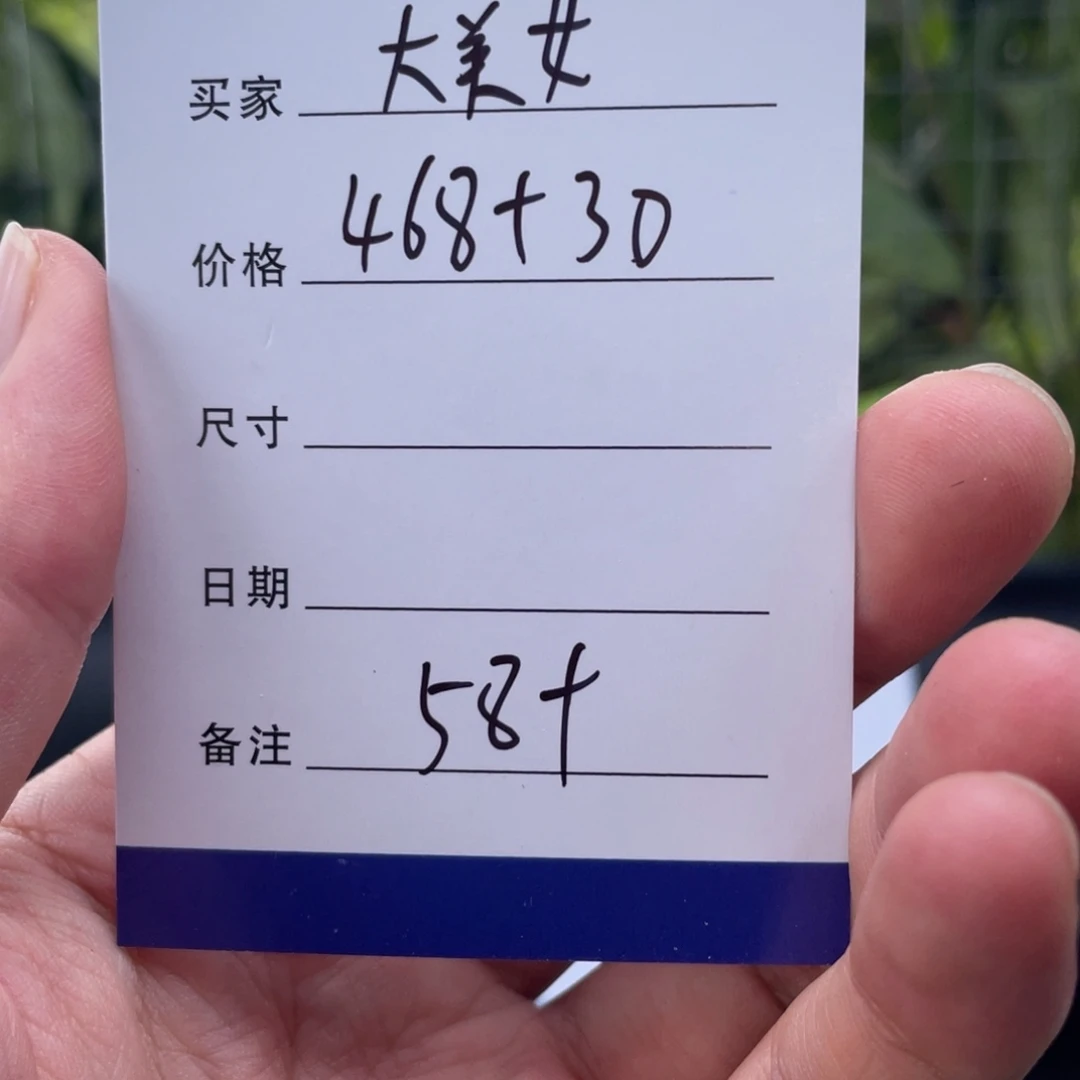 大***女非金属所见即所得秒拍秒付