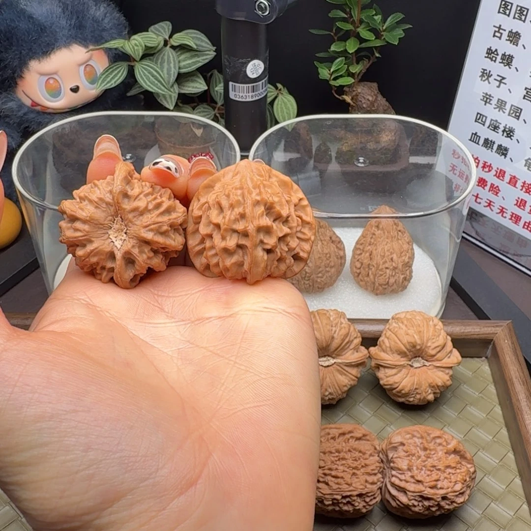 核桃全品龙门涧38+