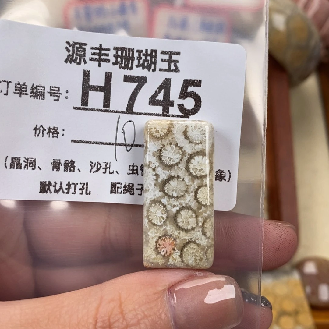硅化玉颈饰未镶嵌这***子