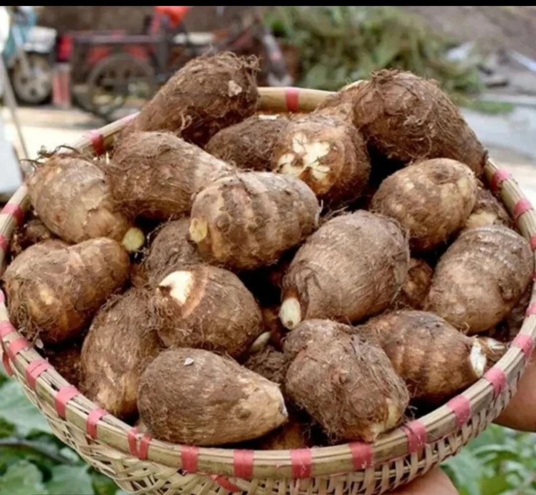 新鲜香糯粉滑小芋头