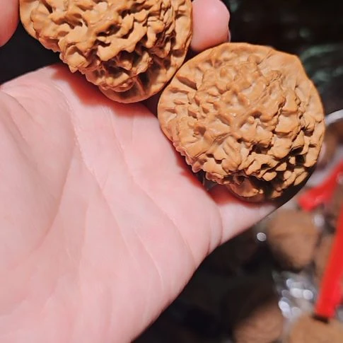 文玩核桃吊坠50龙鼎管