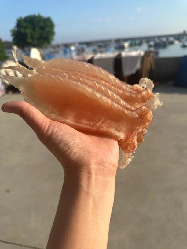 南澳本地自晒版海钓赤嘴公