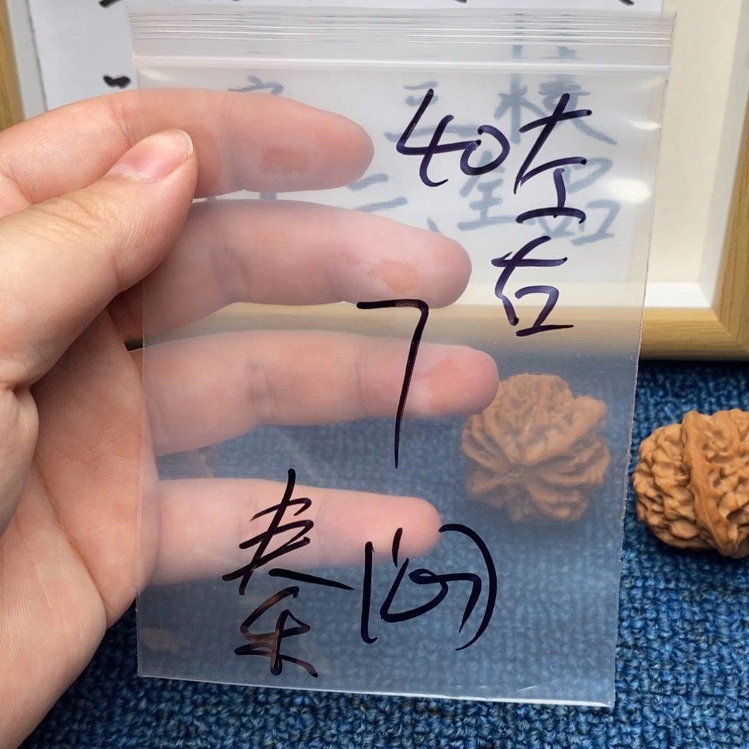 核桃哈哈哈哈哈哈哈哈哈哈哈哈哈哈哈哈