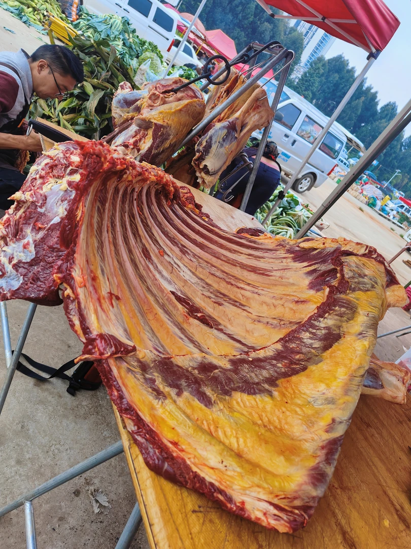 云南本地土黄牛牛肋排带膘 2.5公斤顺丰发货