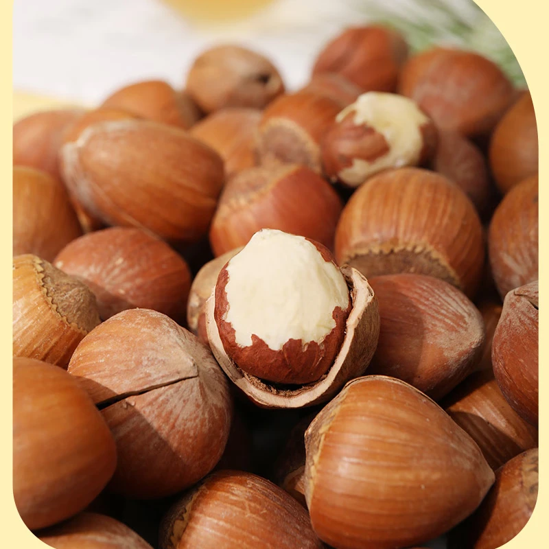 长白山特产开口榛子