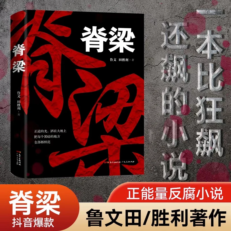 脊梁 原著鲁文田胜利著JST共和国的国之脊梁正能量反腐小说畅销书