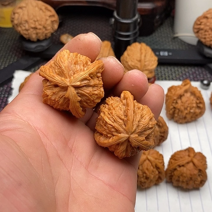 核桃手串/手链拼接白狮子7