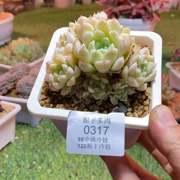 0317啊啊啊啊啊啊啊啊啊