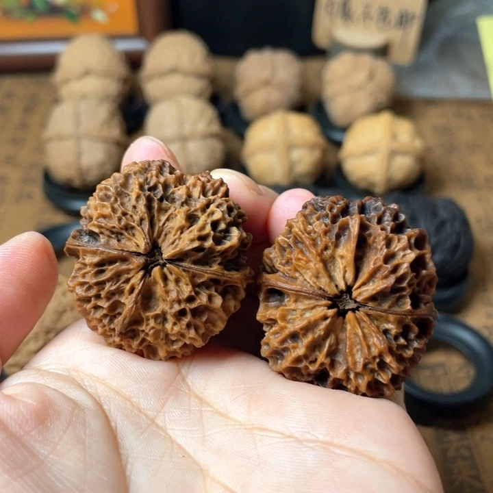 云南铁核桃默认微瑕28