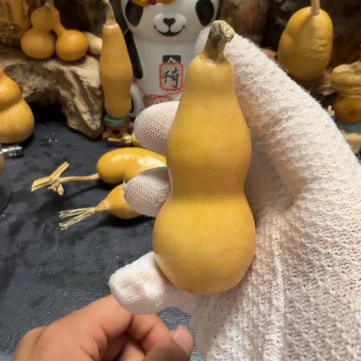 正****风烈666666666666