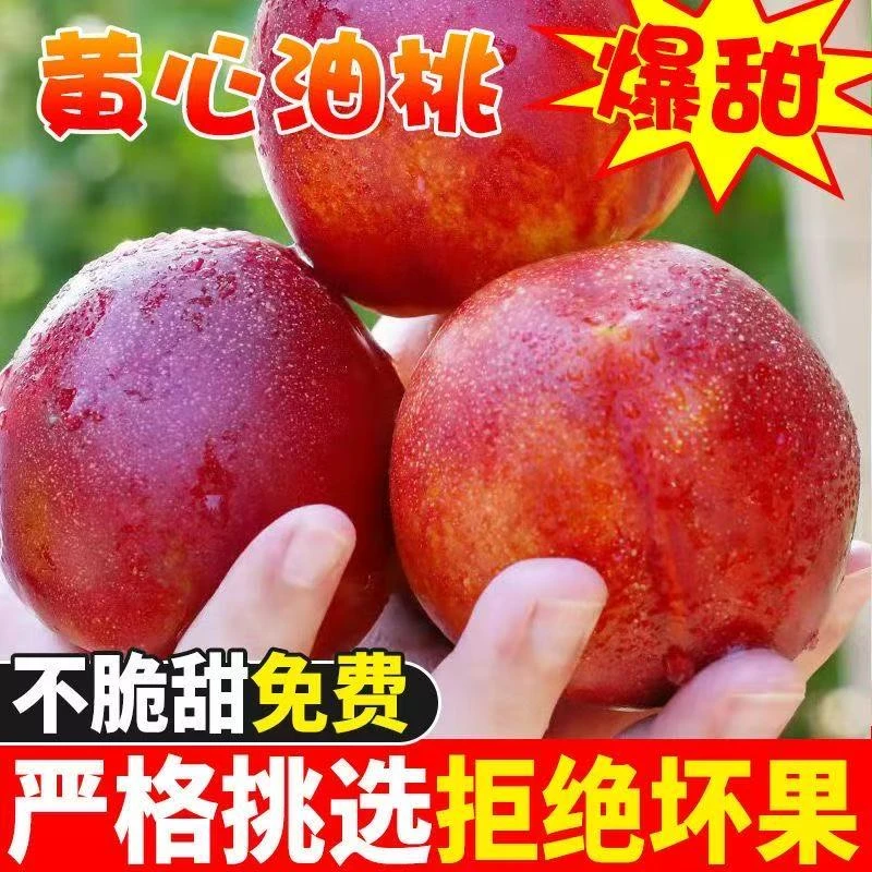特大麻点黄油桃应季新鲜水果产地带箱5斤包邮脆甜软硬两吃孕妇
