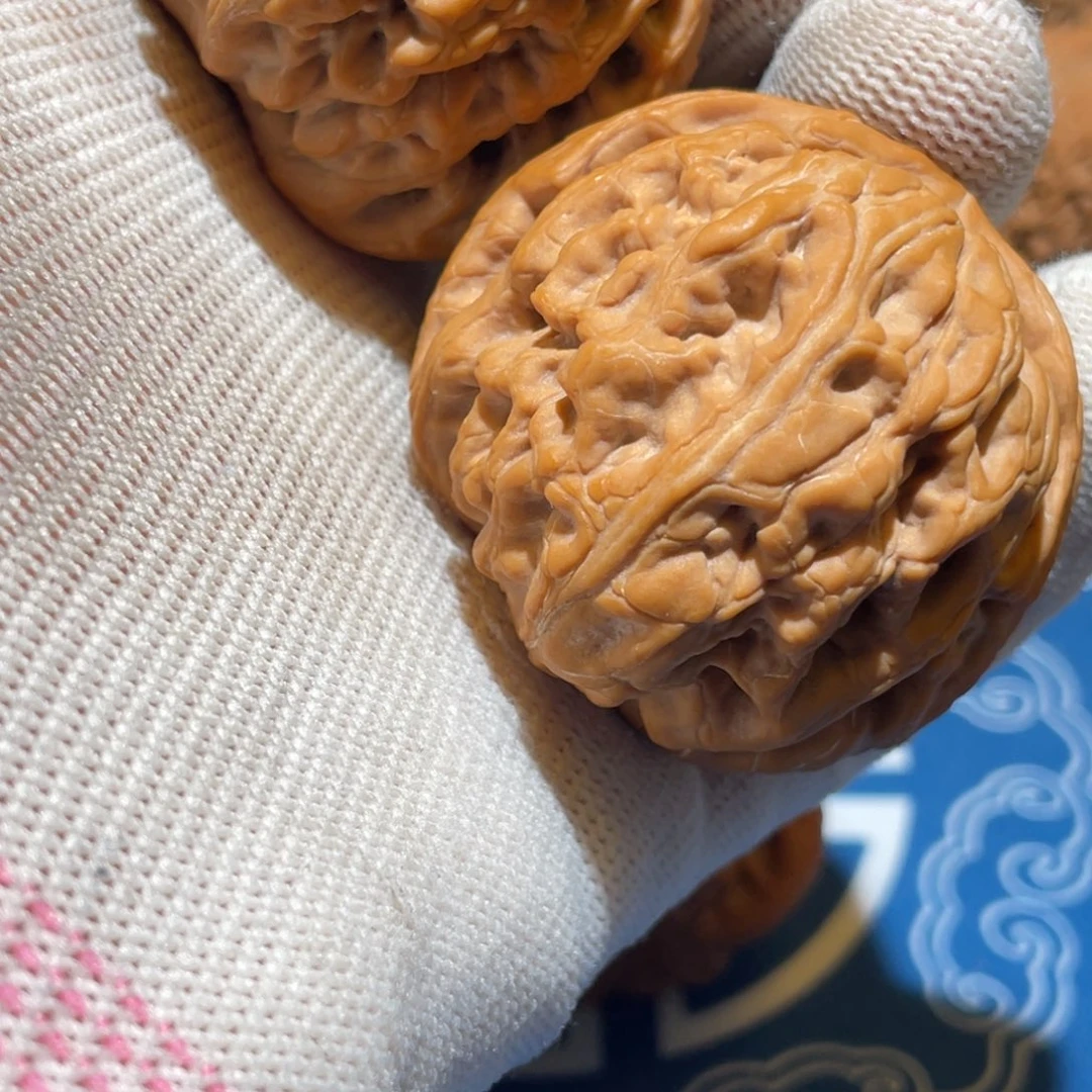 棱*红锦鲤等系列小鱼罐头系列