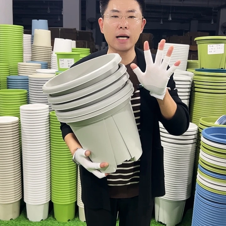 清仓青山口32高28灰白色5只无托