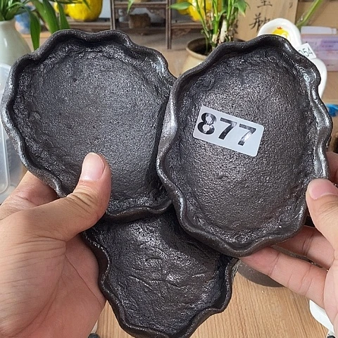 木村信弘木村信弘