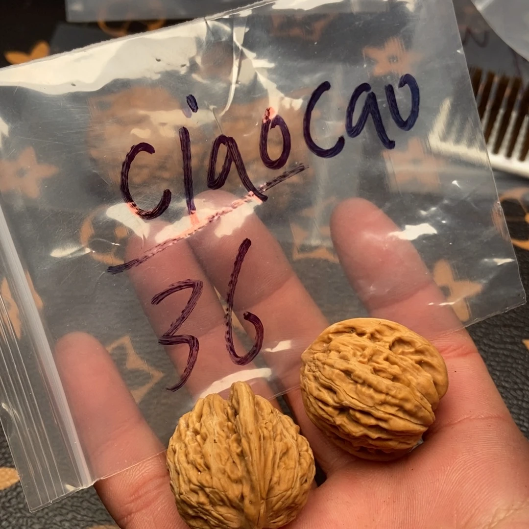 大叶紫檀（黑酸枝木类）