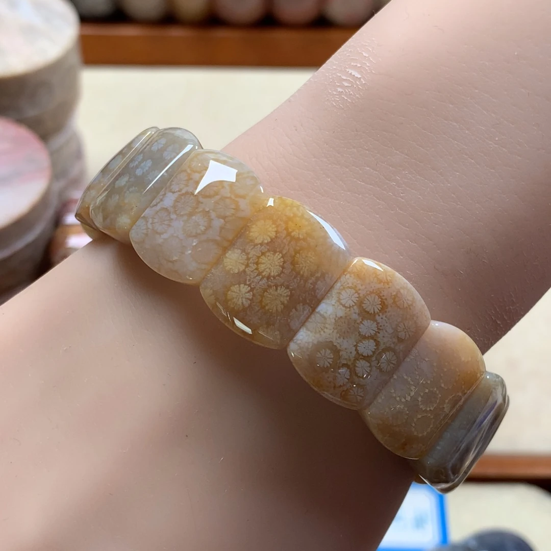 未镶嵌手排漏100/个。11硅化珊瑚（珊瑚玉）