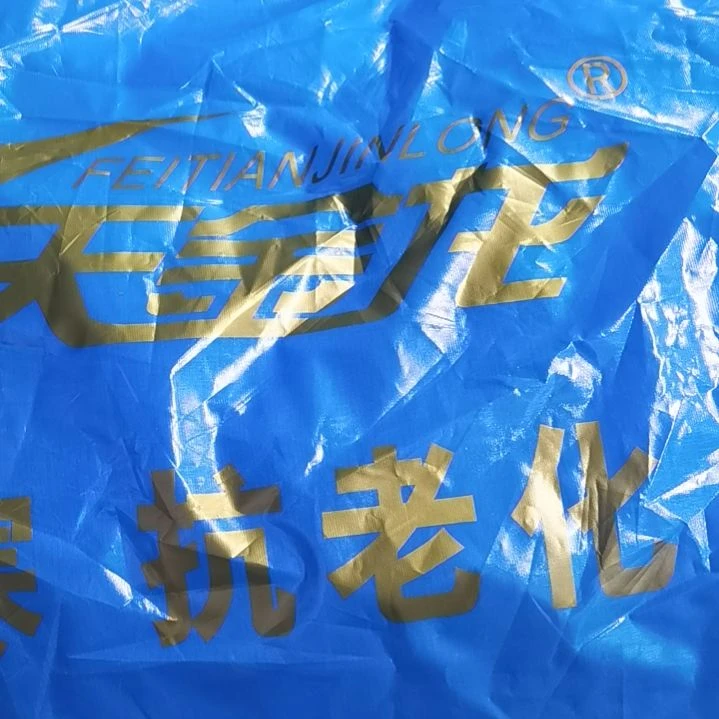 飞天金龙330克的正副