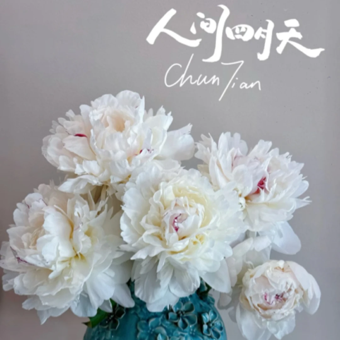 【邮政助农精选】节日庆典嘉年华头茬超长待机山东精品芍药鲜切花Q
