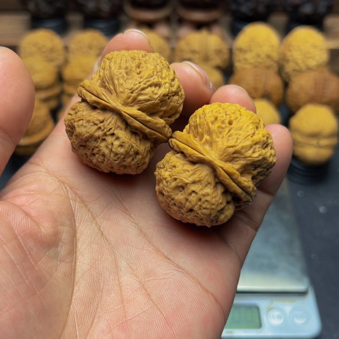 哈****塔43尺寸鱼籽纹将军膀 一物一图