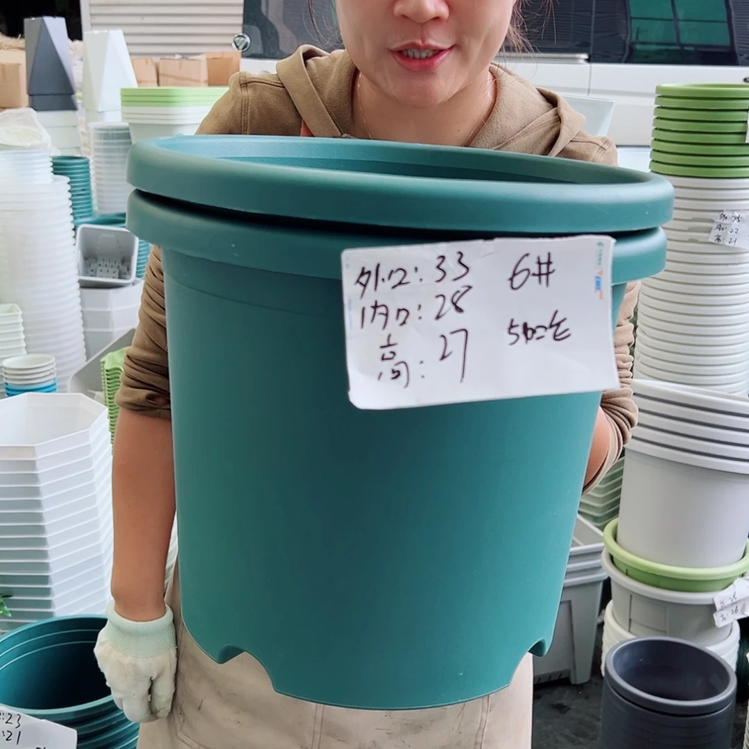 四季盆6#墨绿色5个无托
