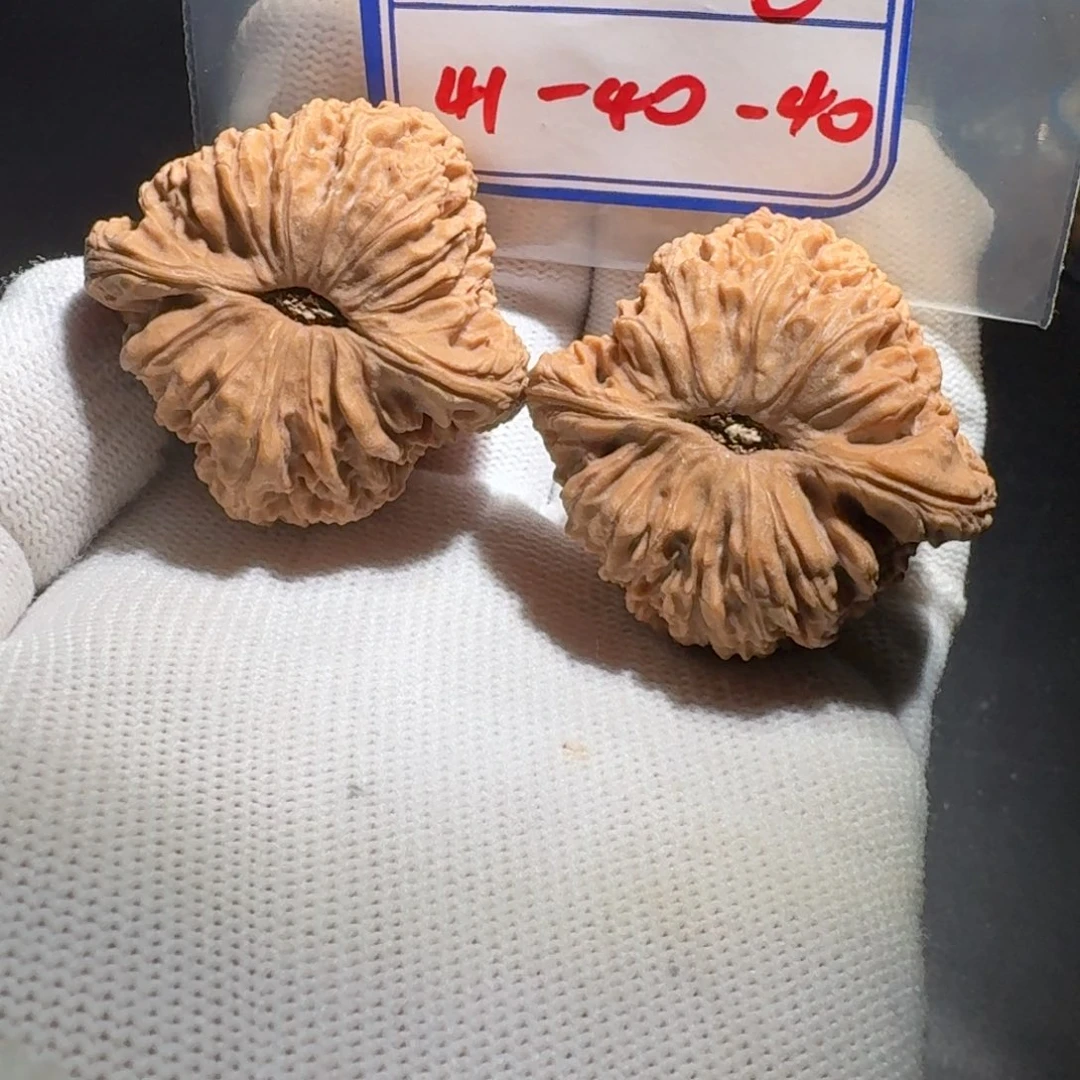文玩核桃把件8号凹底