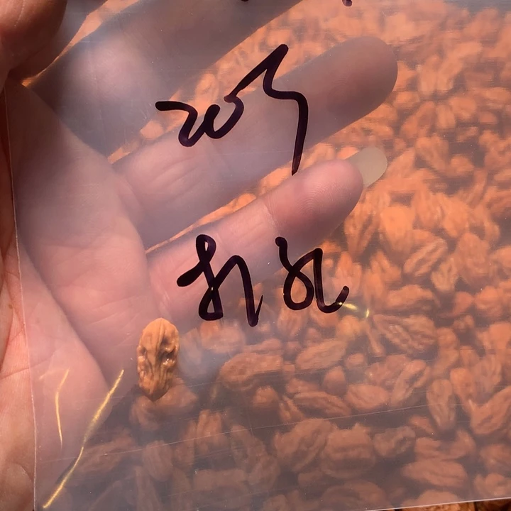 路***}文玩核桃吊坠野生精品小核桃散籽