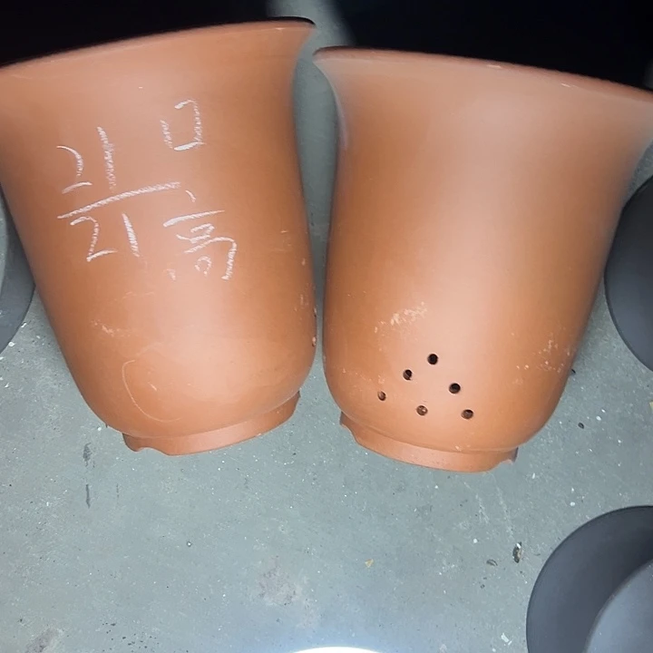 周深周深周深周深