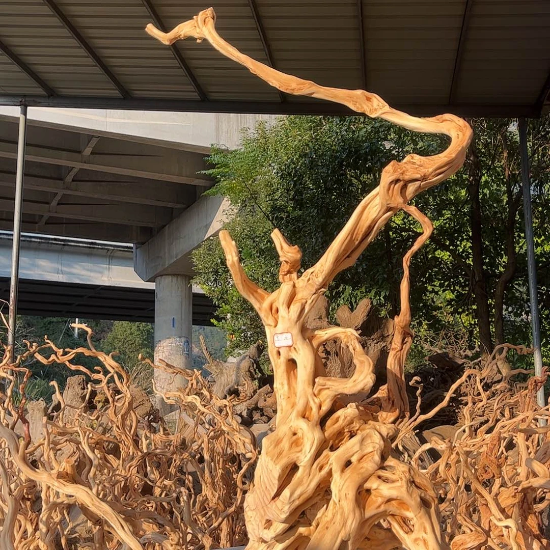 河***司木我的小姐姐们都是我的小可爱们的生日礼物