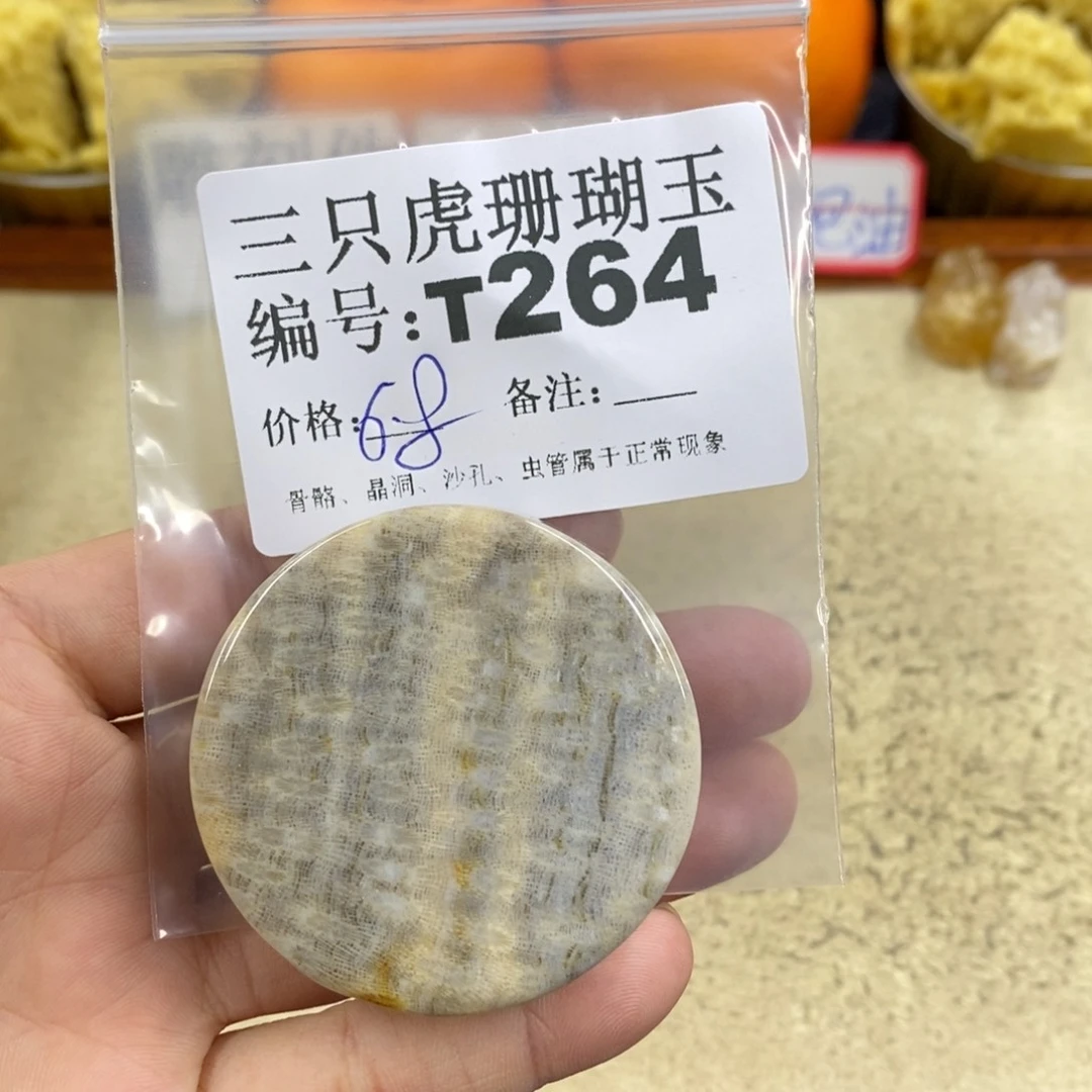 硅化珊瑚（珊瑚玉）1未镶嵌E****g