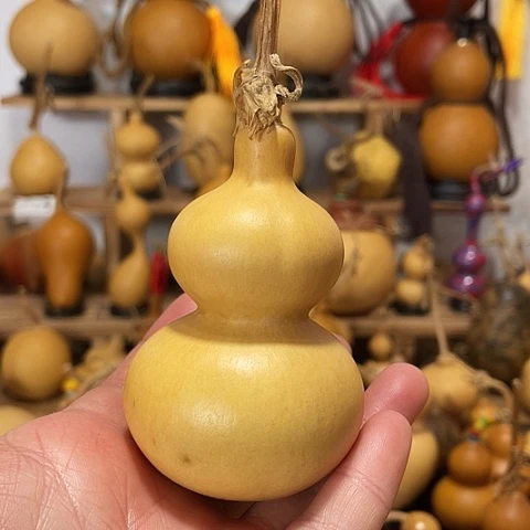 精品厚皮小八宝葫芦