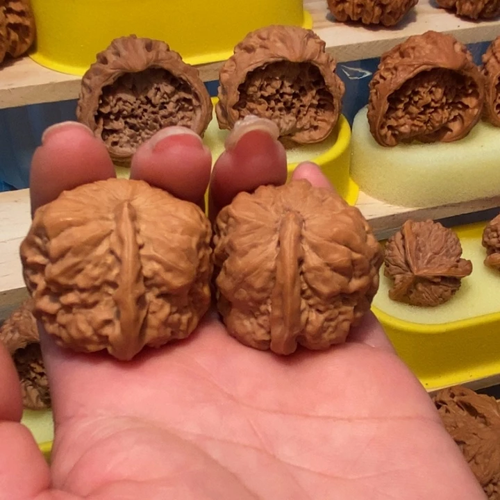 官方网站也将陆续^_^