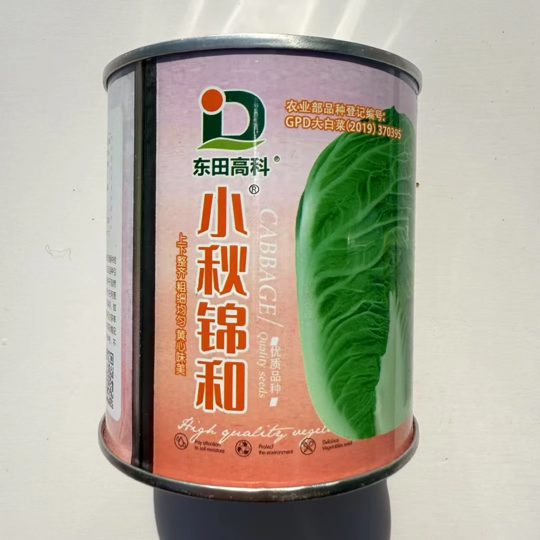 小秋锦和大白菜种子黄心高产抗病秋播大白菜种籽包菜短圆筒型耐寒