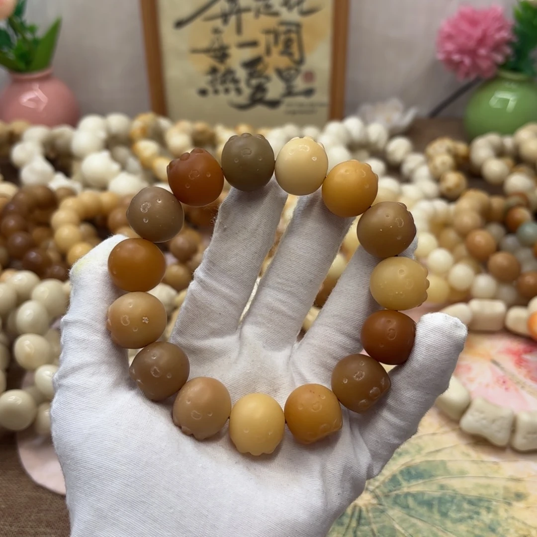 吊坠菩提根/象牙果17干磨瑕疵落地果110