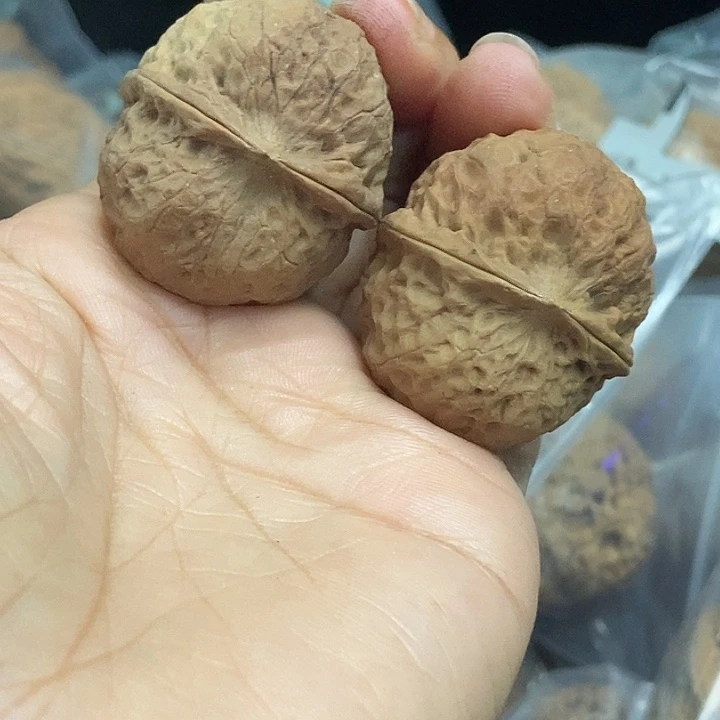 木质类云南铁核桃基地63