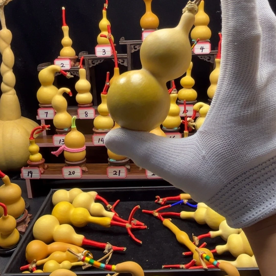 啊经理了经理巨兔天