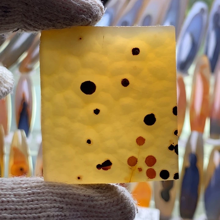 未镶嵌颈饰玛瑙/玉髓77