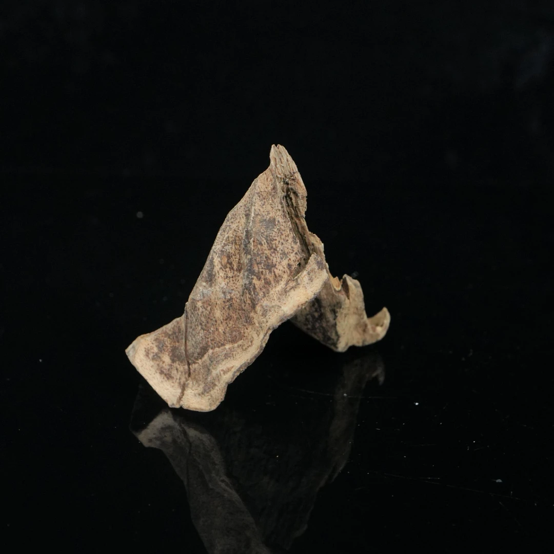 A7828 老挝沉香土沉壳料香料/  3.32g