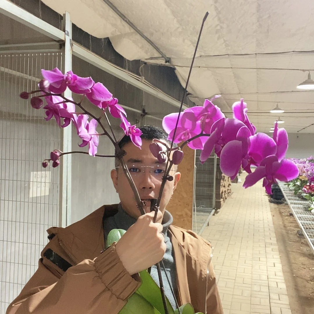 小***晴完全开放两颗德班微瑕掉花掉包带保温